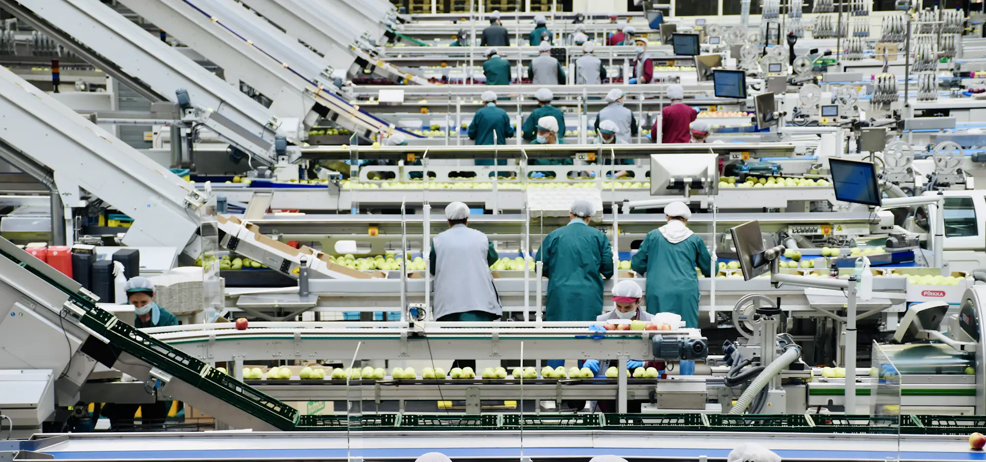 Frontline team working along a processing line, seen from behind
