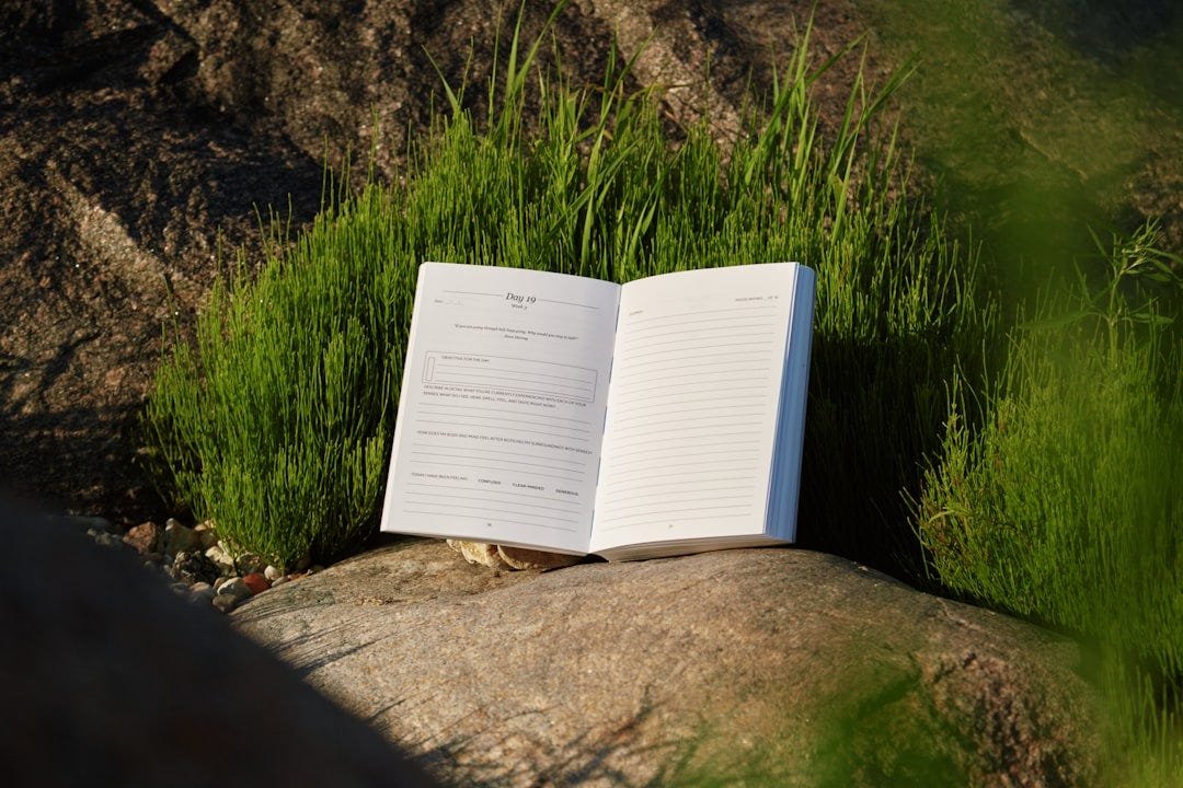 personal growth